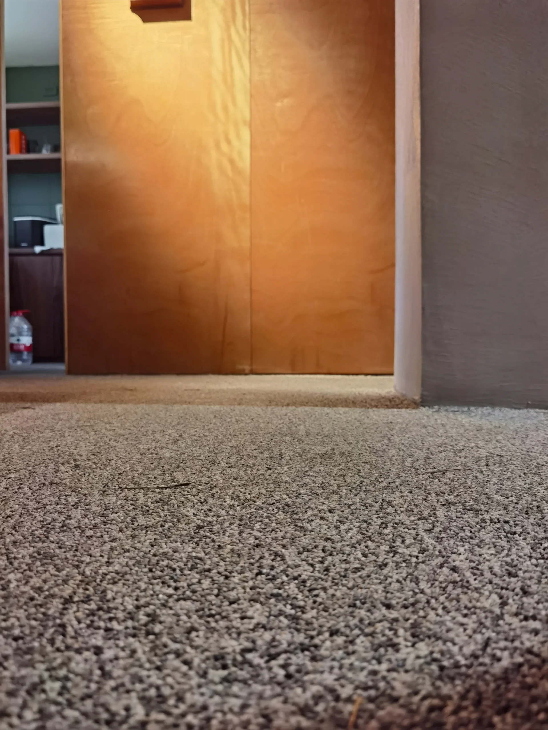 1739955830974 0 converted